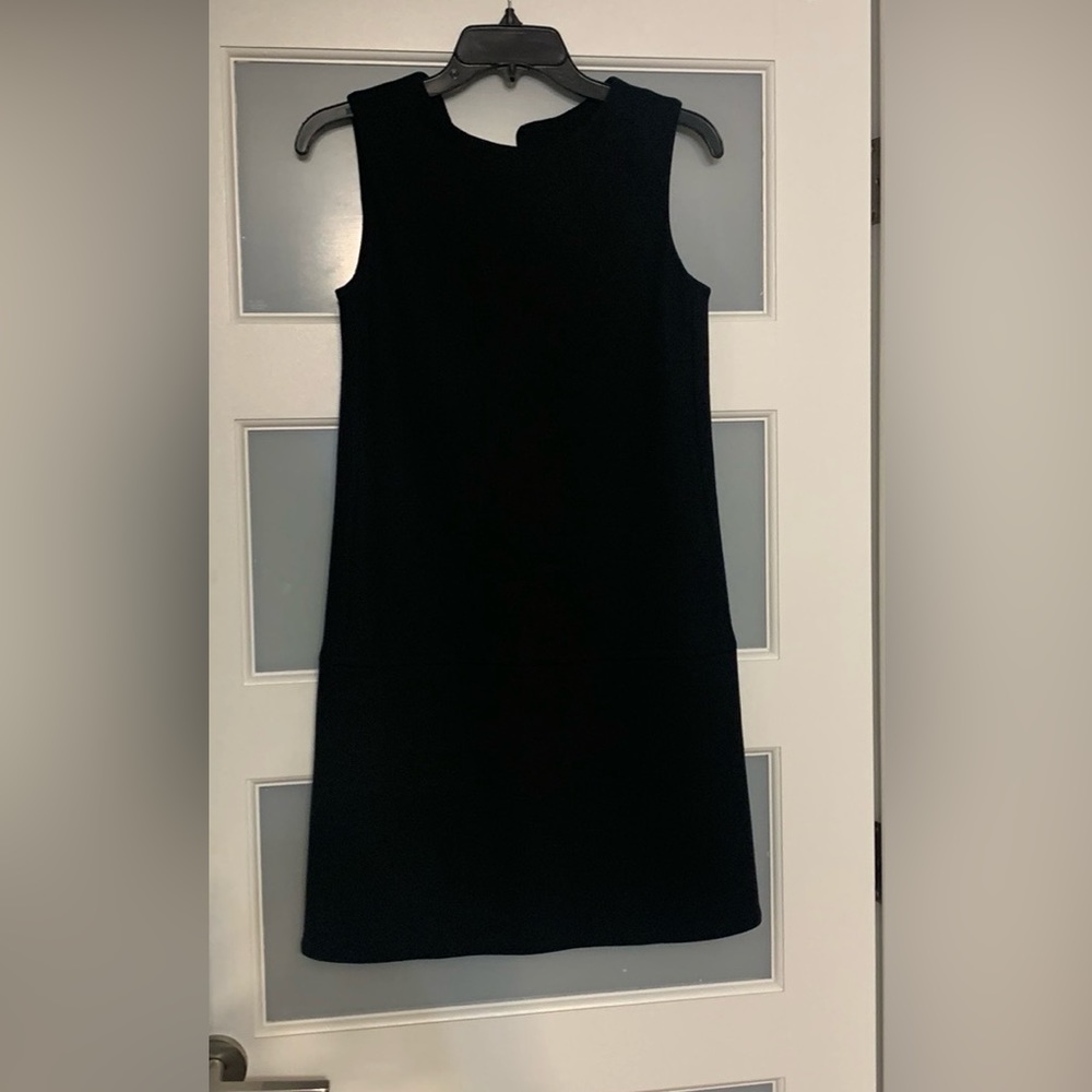 Massimo Dutti Sleeveless Mini Dress